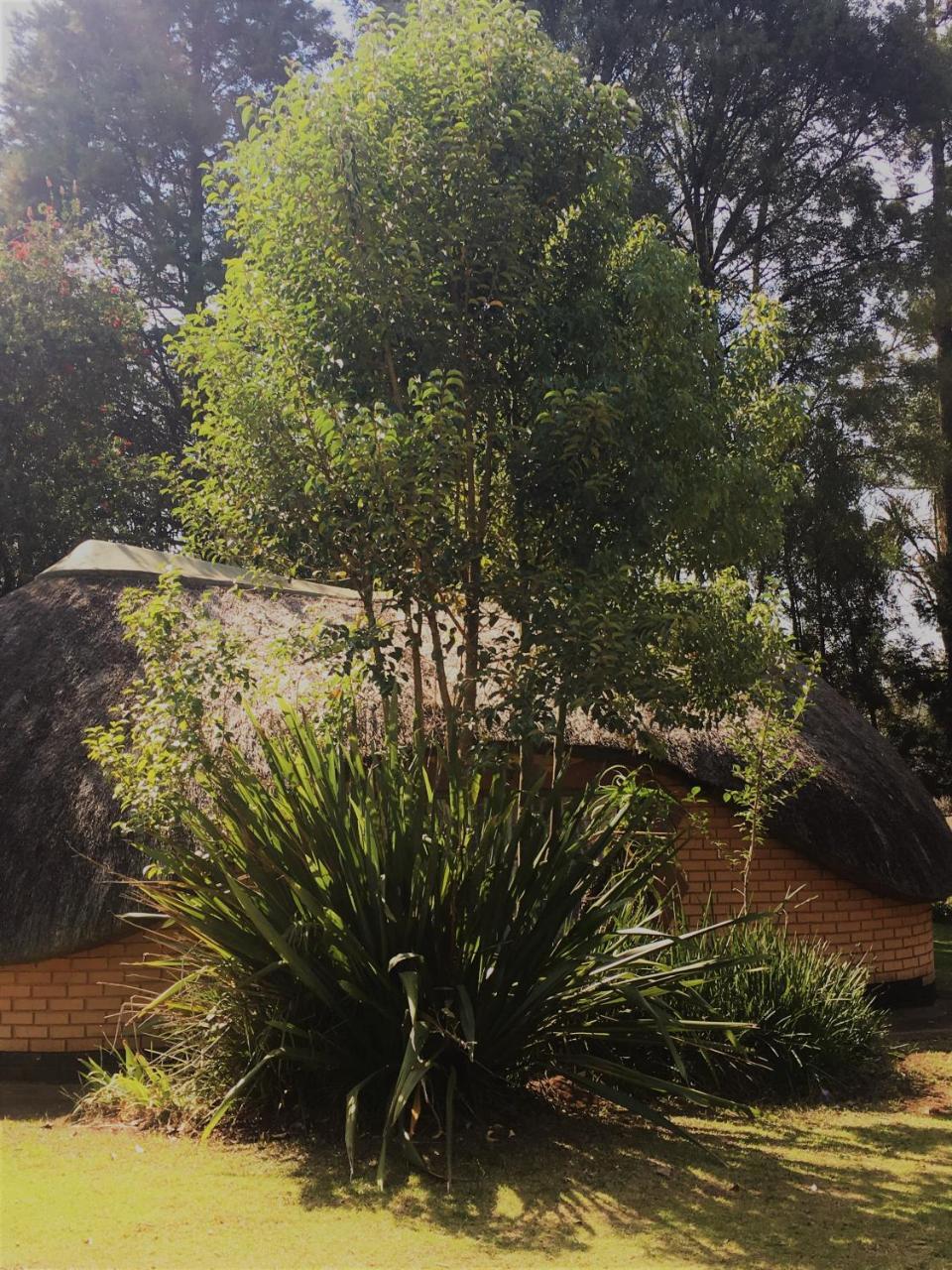 Summit Lodge Graskop Ngoại thất bức ảnh