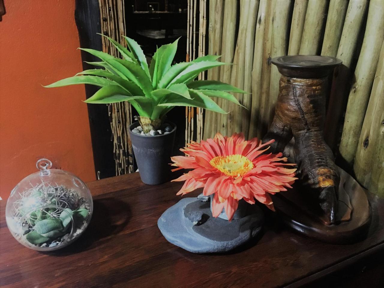 Summit Lodge Graskop Ngoại thất bức ảnh